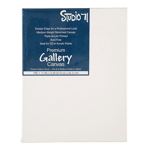 Art Alternatives Economy Cotton Stretched Canvas 2-Pack 8x10