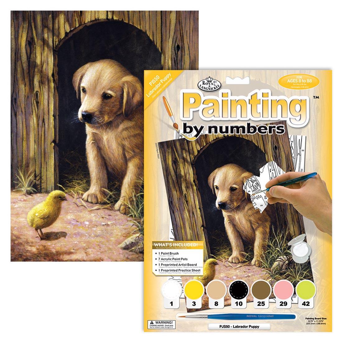 Adult Painting by Numbers Kits